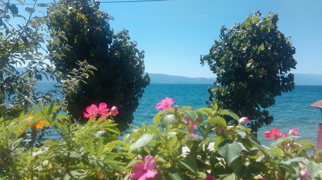Krste