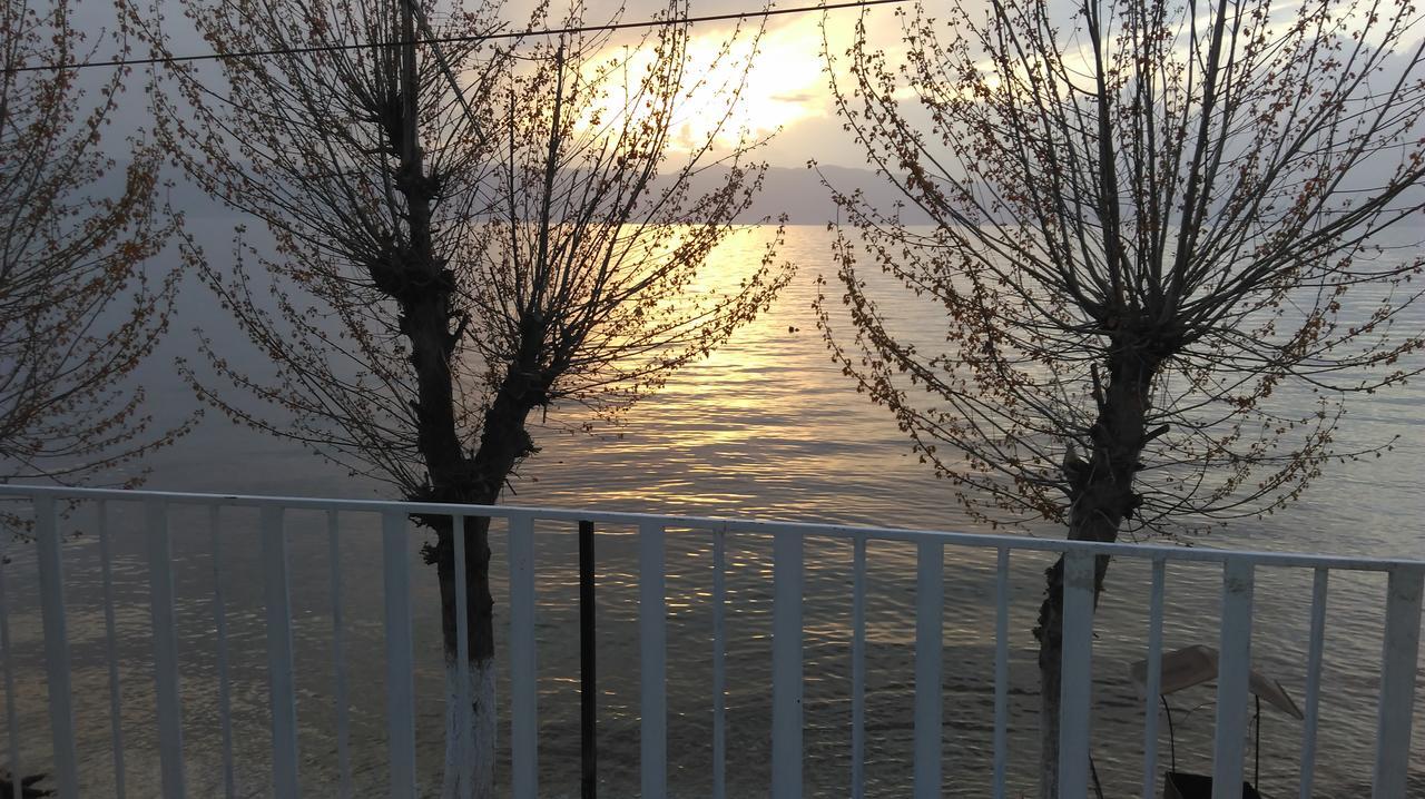 Krste Trpejca