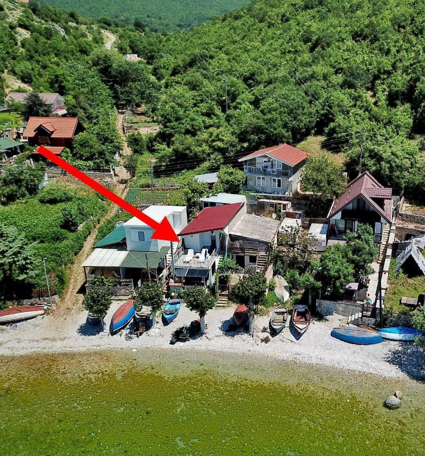 Krste Trpejca
